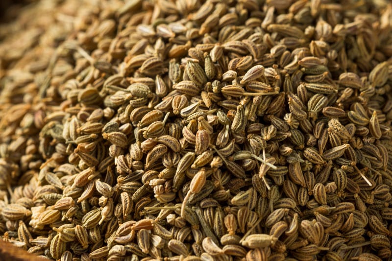 Ajwain Carom Seed Essential Oil - Incense Route
