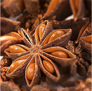 Star Anise Essential Oil