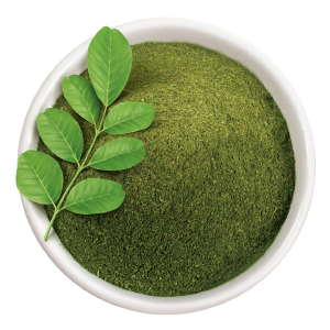 Moringa Essential Oil - Incense Route