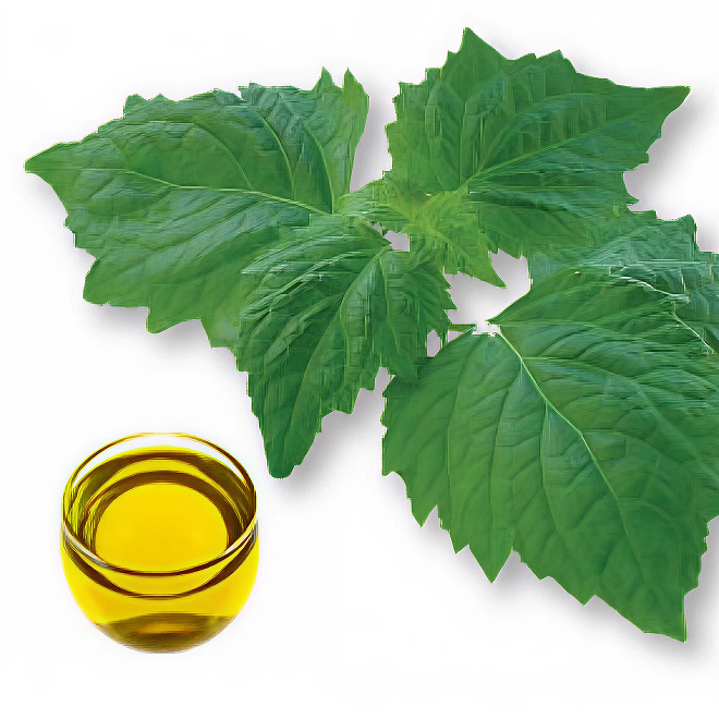 Patchouli Dark Essential Oil - Incense Route