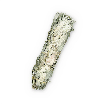White Sage Bundle - Incense Route