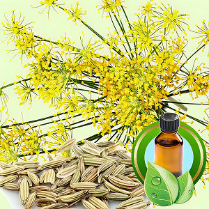 Sweet Fennel Essential Oil