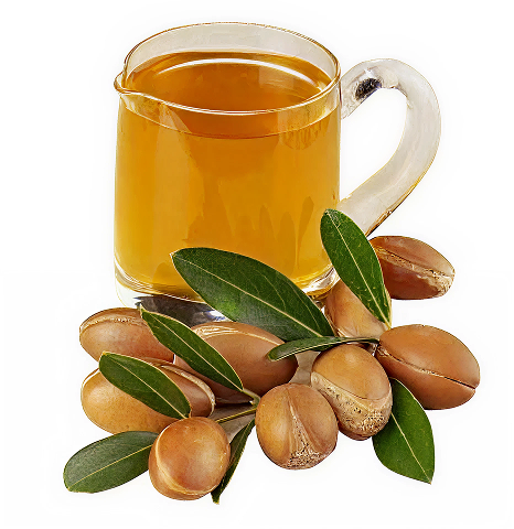 Argan Nut (Morocco) [2oz] - Incense Route