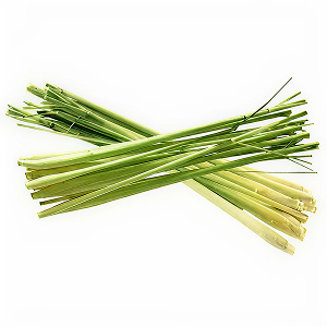 Lemongrass Essential Oil - Incense Route