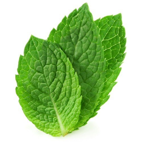 Peppermint Organic Essential Oil - Incense Route