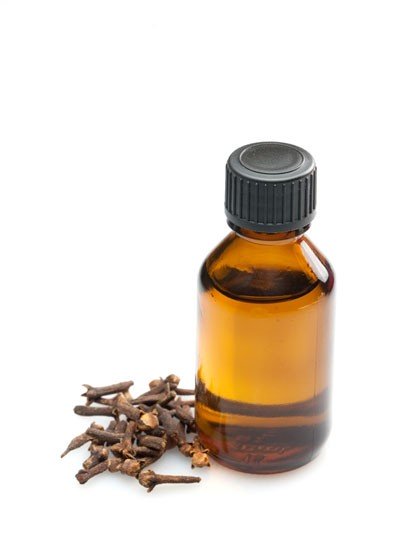 Clove Bud (Indonesia) Essential Oil - Incense Route