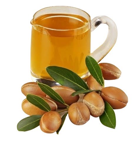 Argan Nut (Morocco) [2oz] - Incense Route