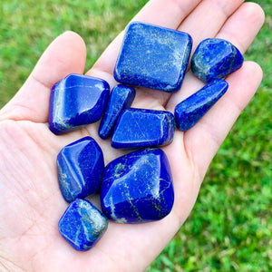 Brazilian Lapis Lazuli (Tumbled) - Incense Route